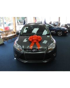 22" Giant Car Bows