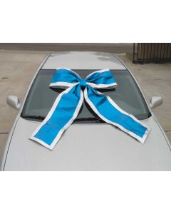 Giant Shiny Car Bows