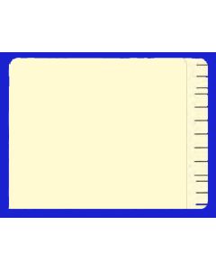 File Right® FIle Folders - Plain - Blank