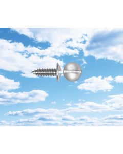 License Plate Screws - Round slotted head